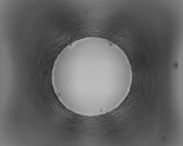 X0000093570769200710151015