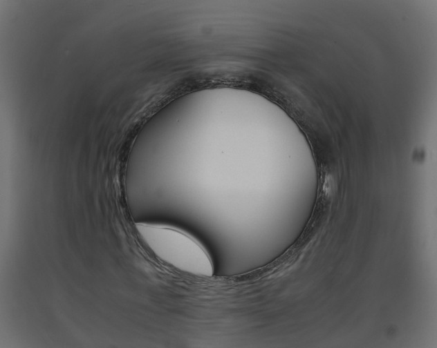 X0000093570771200710151015