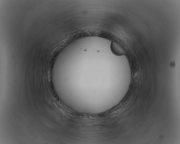 X0000093570772200710151015