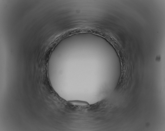 X0000093570773200710151015
