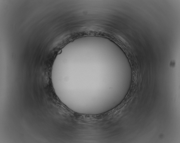 X0000093570774200710151015