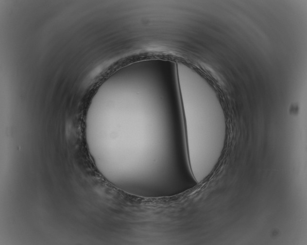 X0000093570776200710151015