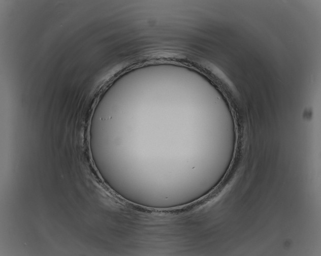 X0000093570777200710151015