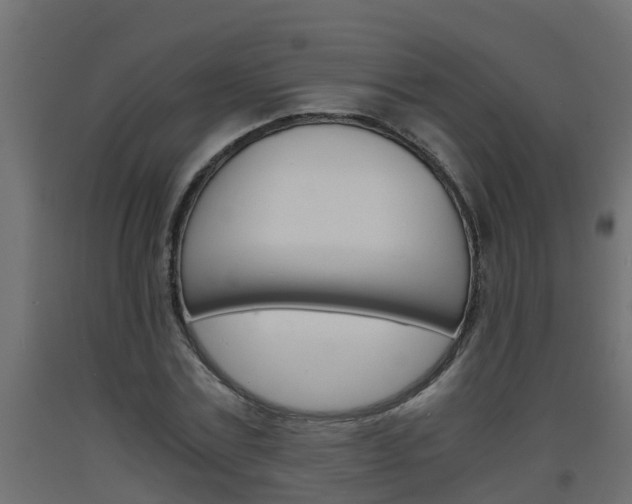 X0000093570779200710151015