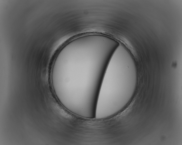 X0000093570780200710151015