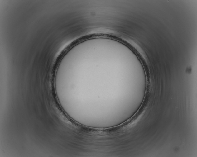 X0000093570783200710151015
