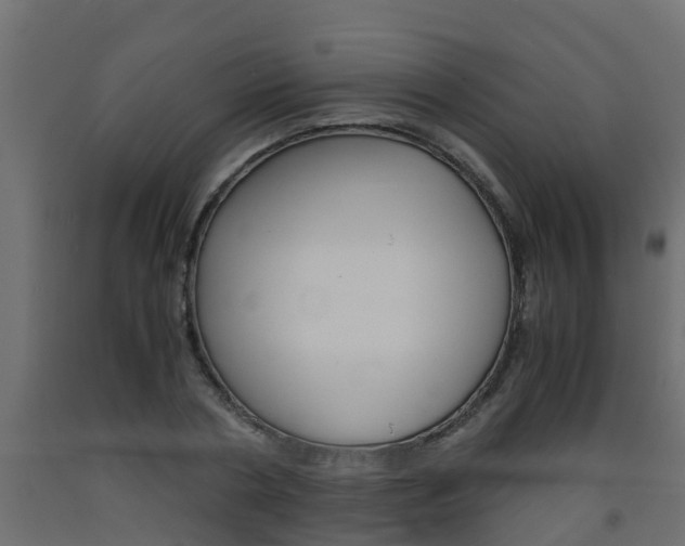 X0000093570786200710151015