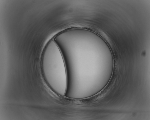 X0000093570787200710151015