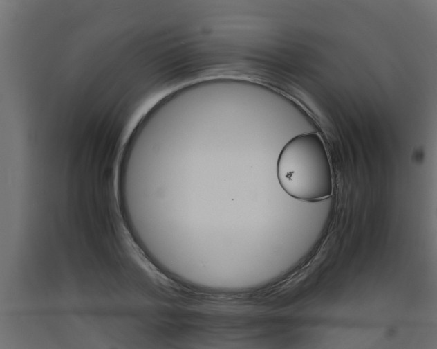X0000093570788200710151015