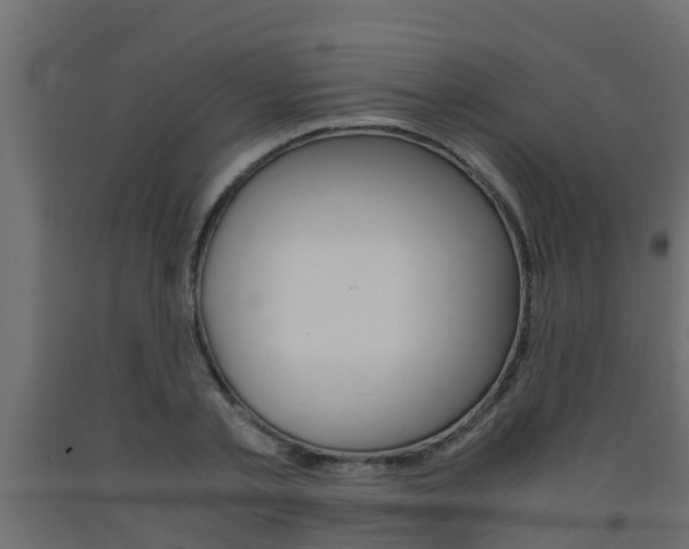 X0000093570789200710151015