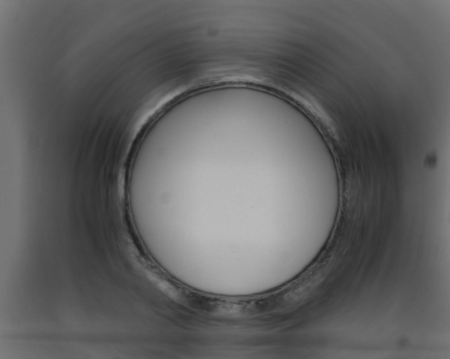 X0000093570790200710151015