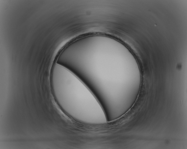 X0000093570791200710151015