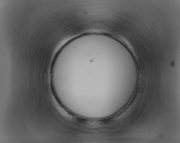 X0000093570795200710151015