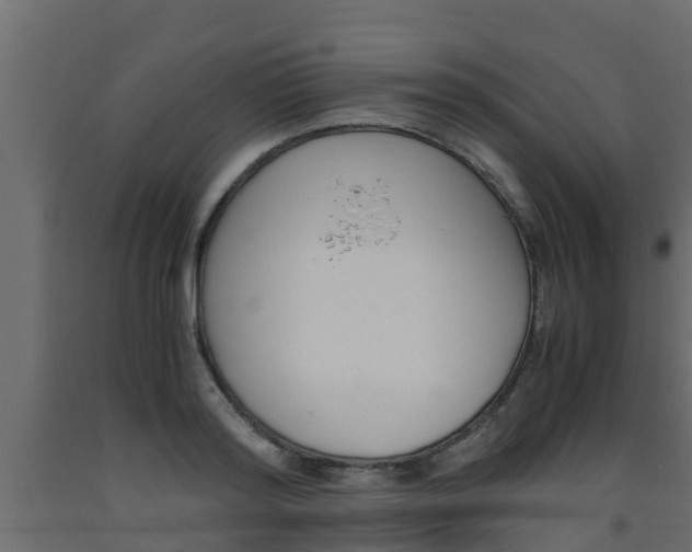 X0000093570796200710151015