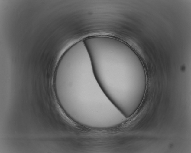 X0000093570797200710151015