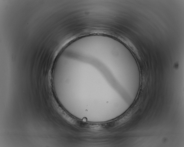 X0000093570798200710151015