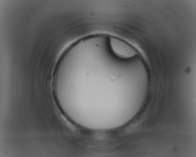 X0000093570799200710151015