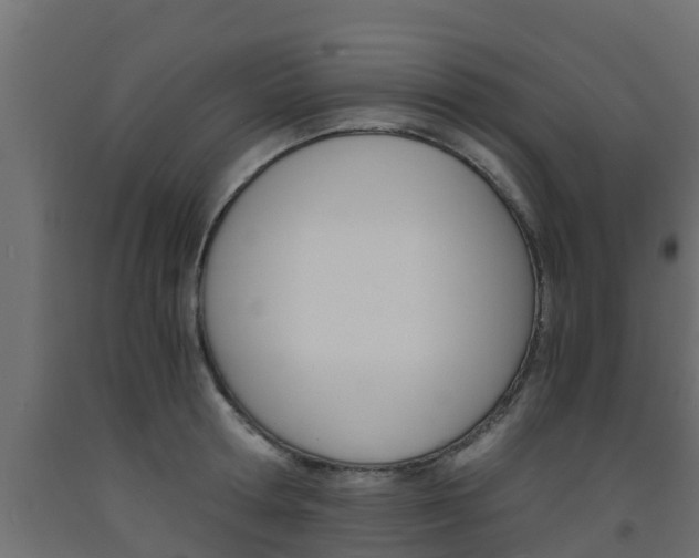 X0000093570802200710151015