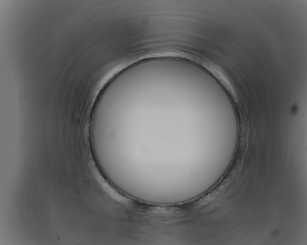 X0000093570805200710151015