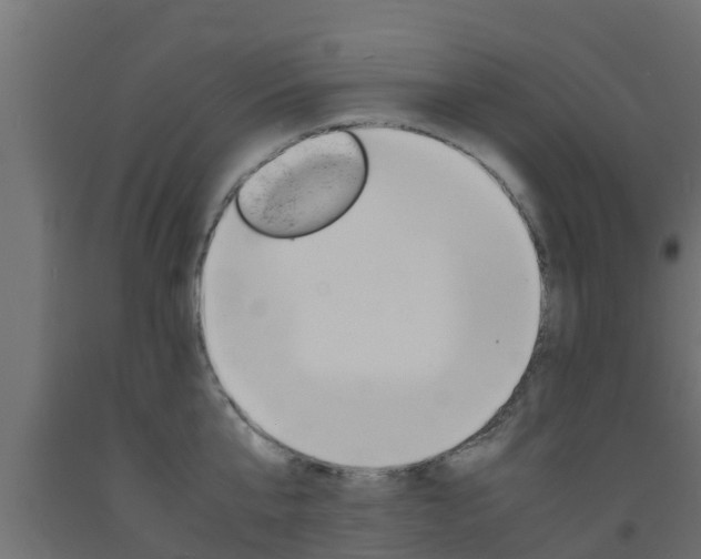 X0000093570807200710151015