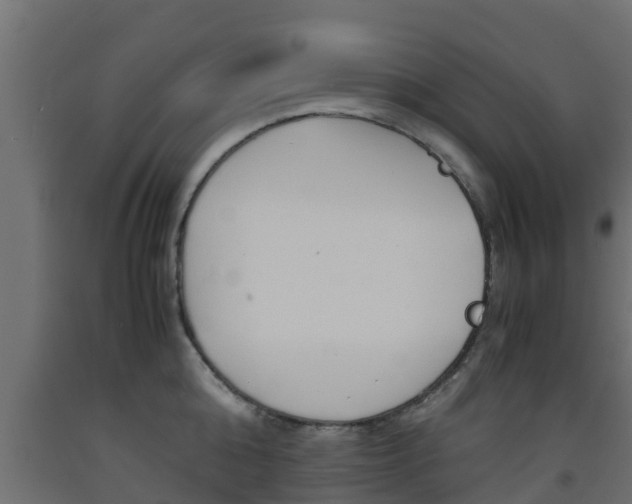 X0000093570808200710151015