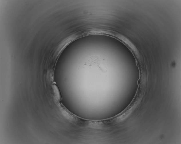 X0000093570809200710151015