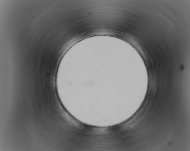 X0000093570810200710151015
