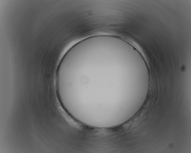 X0000093570811200710151015