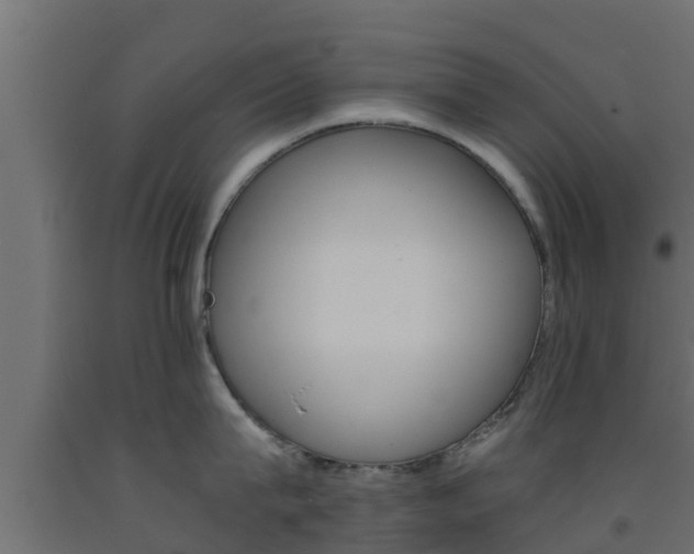 X0000093570815200710151015
