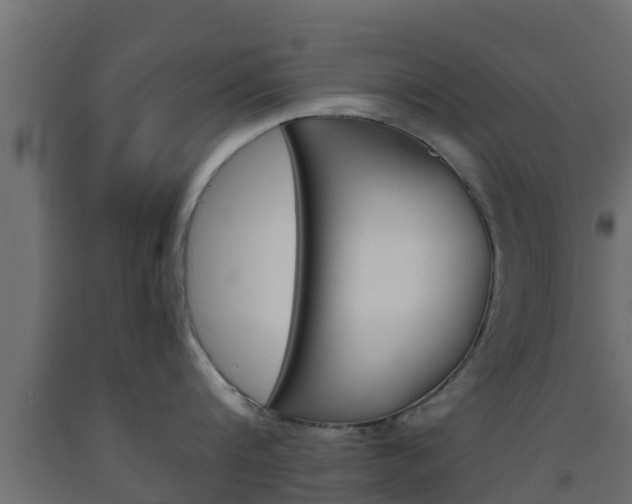 X0000093570816200710151015