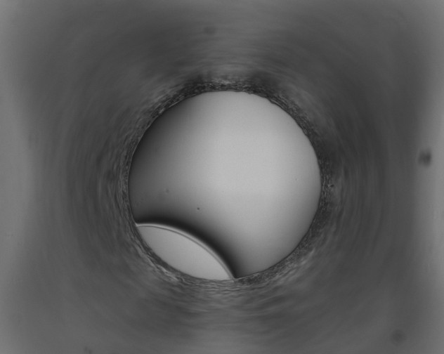 X0000093570817200710151014