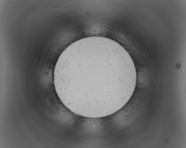 X0000093570820200710151014