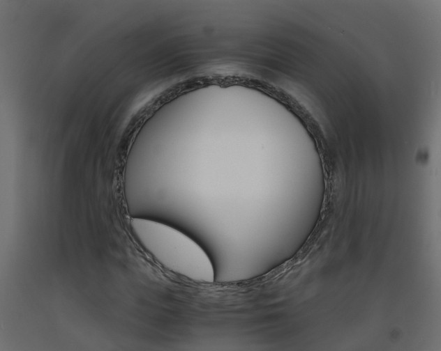 X0000093570823200710151014