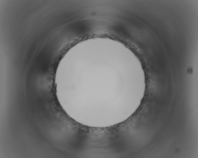 X0000093570824200710151014