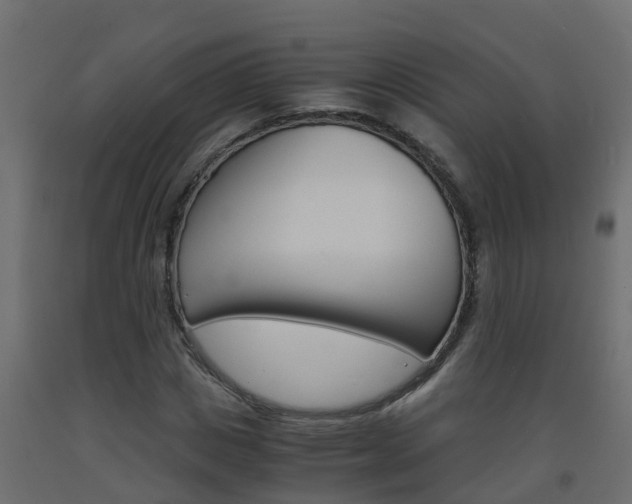 X0000093570825200710151014