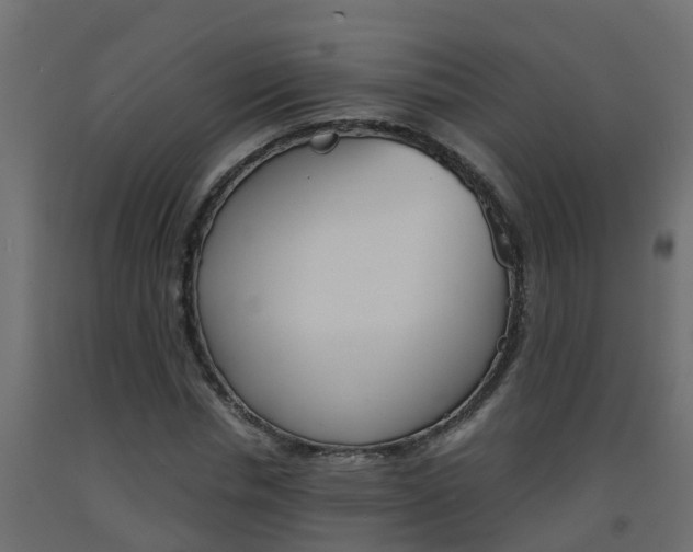 X0000093570826200710151014