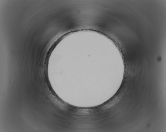 X0000093570828200710151014