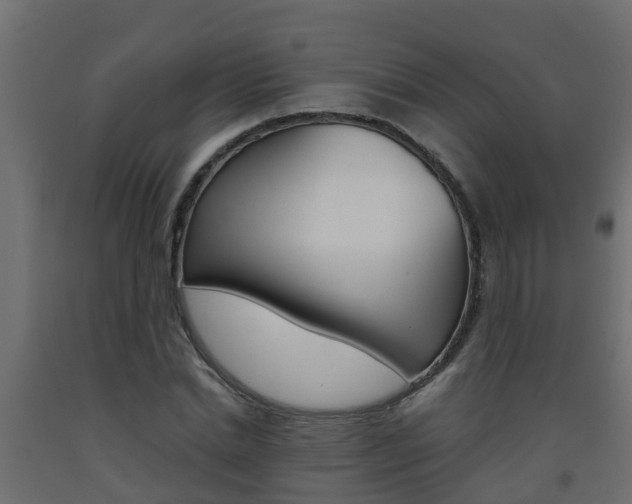 X0000093570830200710151014