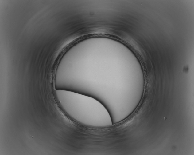 X0000093570831200710151014
