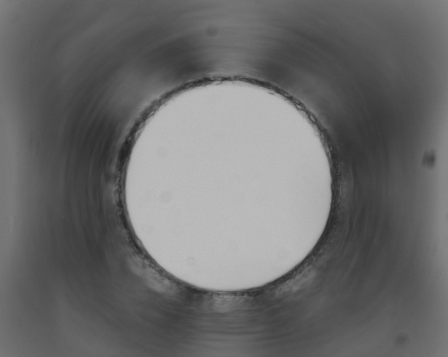 X0000093570832200710151014