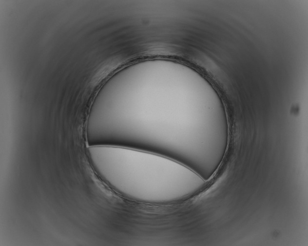 X0000093570833200710151014
