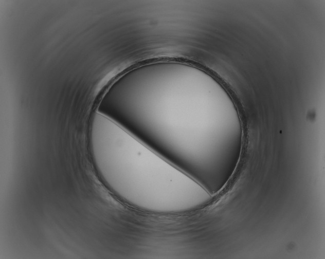 X0000093570834200710151014