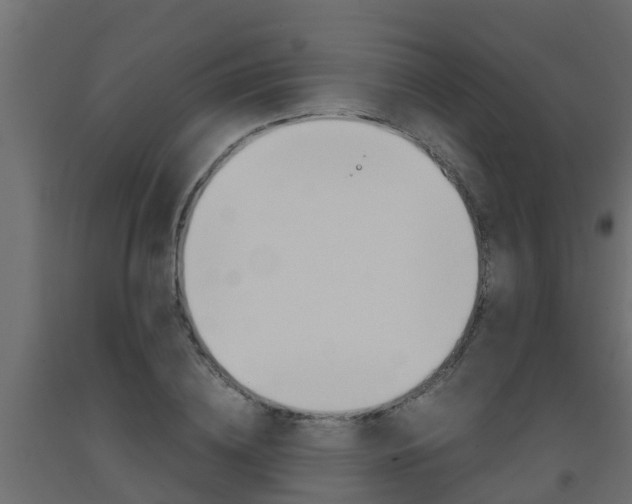 X0000093570836200710151014