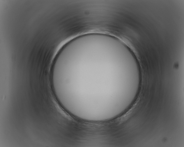 X0000093570838200710151014