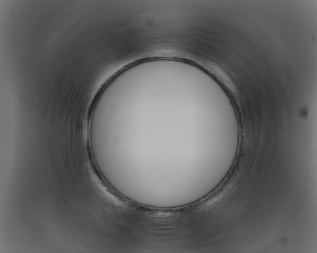 X0000093570839200710151014