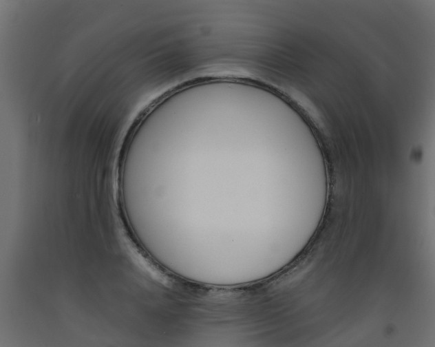 X0000093570840200710151014