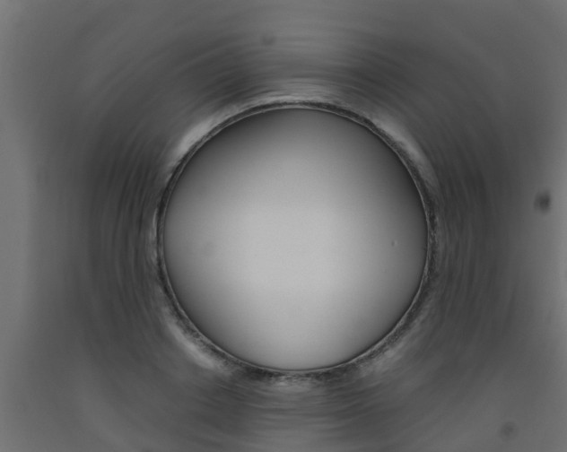 X0000093570842200710151014