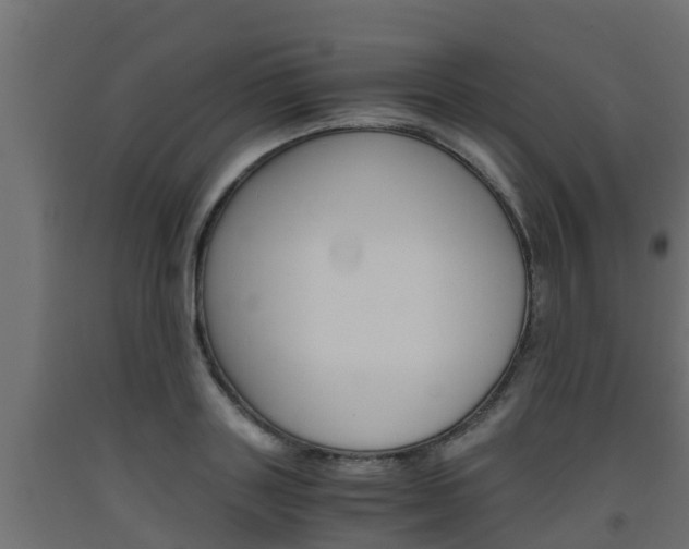 X0000093570843200710151014