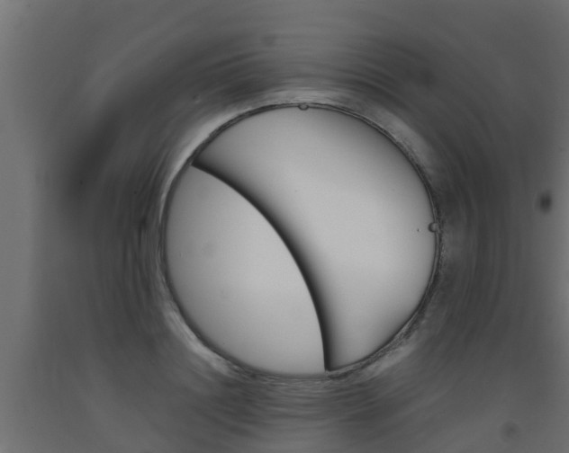 X0000093570844200710151014