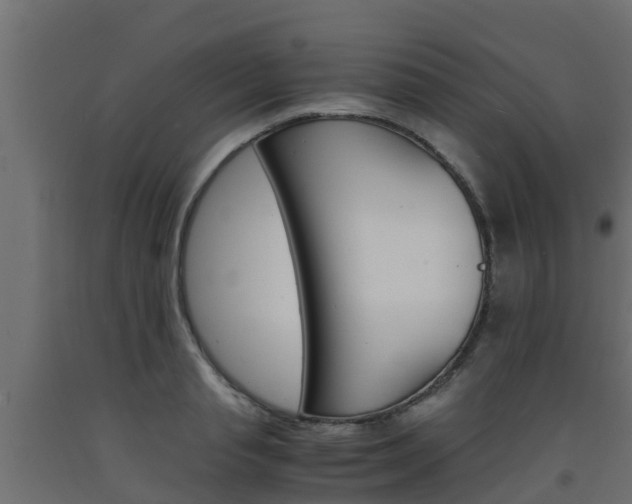 X0000093570845200710151014
